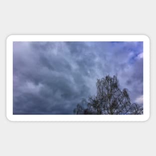 Tree and a Stormy, Cloudy Sky Magnet